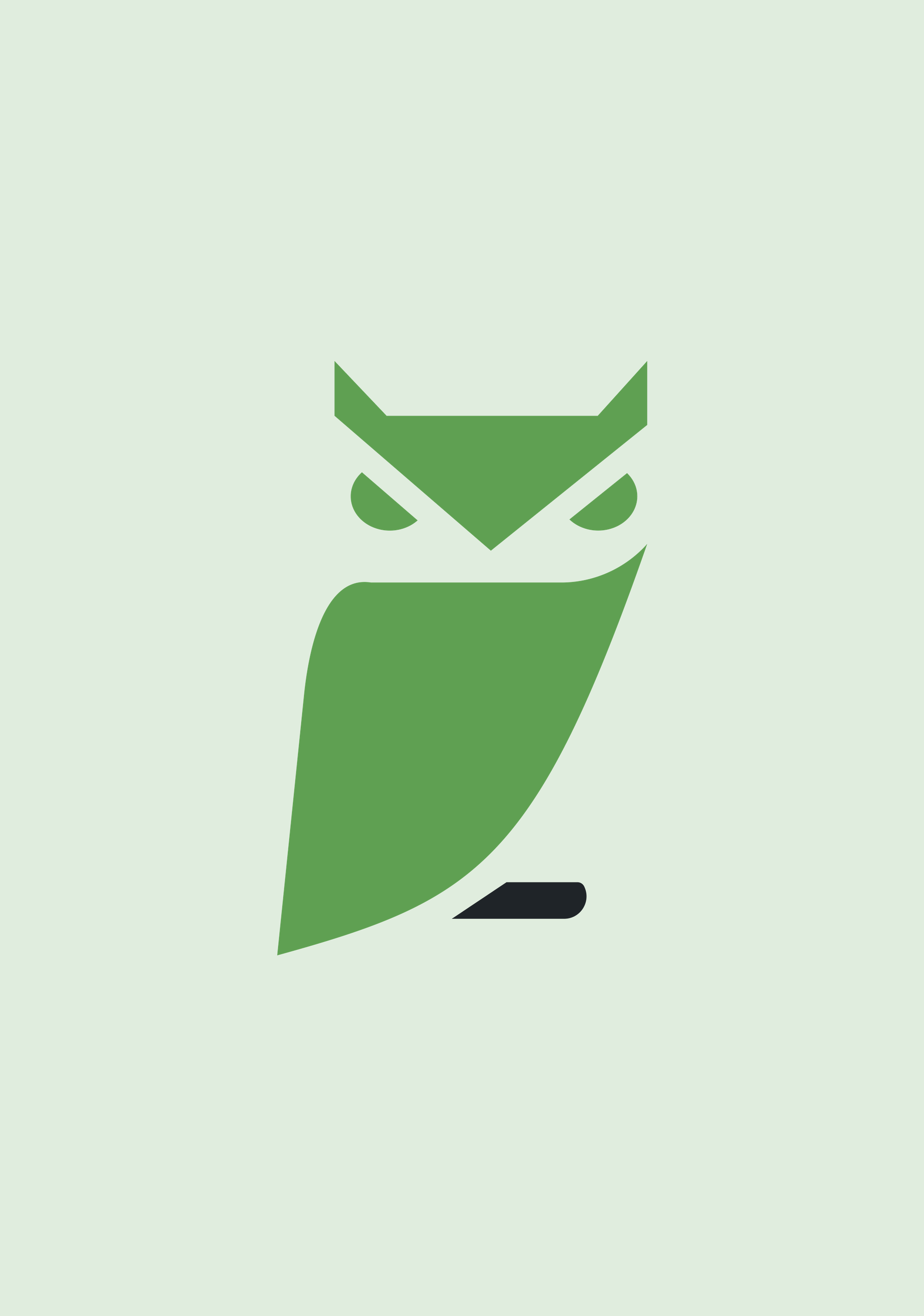 LoudOwls